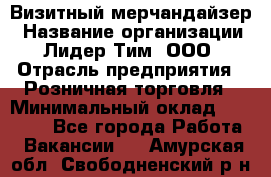 Визитный мерчандайзер › Название организации ­ Лидер Тим, ООО › Отрасль предприятия ­ Розничная торговля › Минимальный оклад ­ 15 000 - Все города Работа » Вакансии   . Амурская обл.,Свободненский р-н